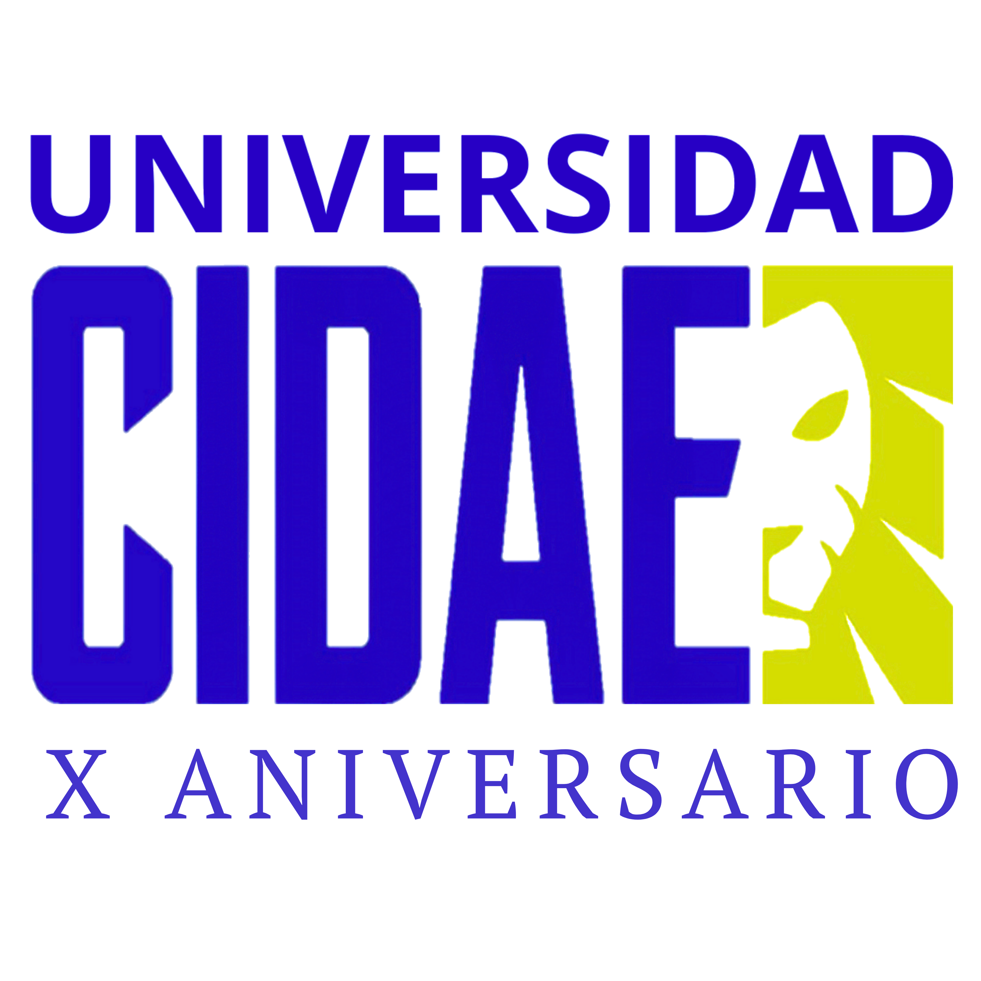Universidad CIDAE